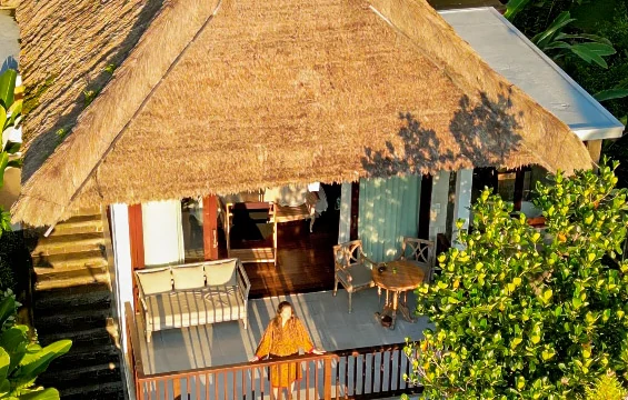 Aerial view of a thatched-roof villa with a terrace among tropical greenery